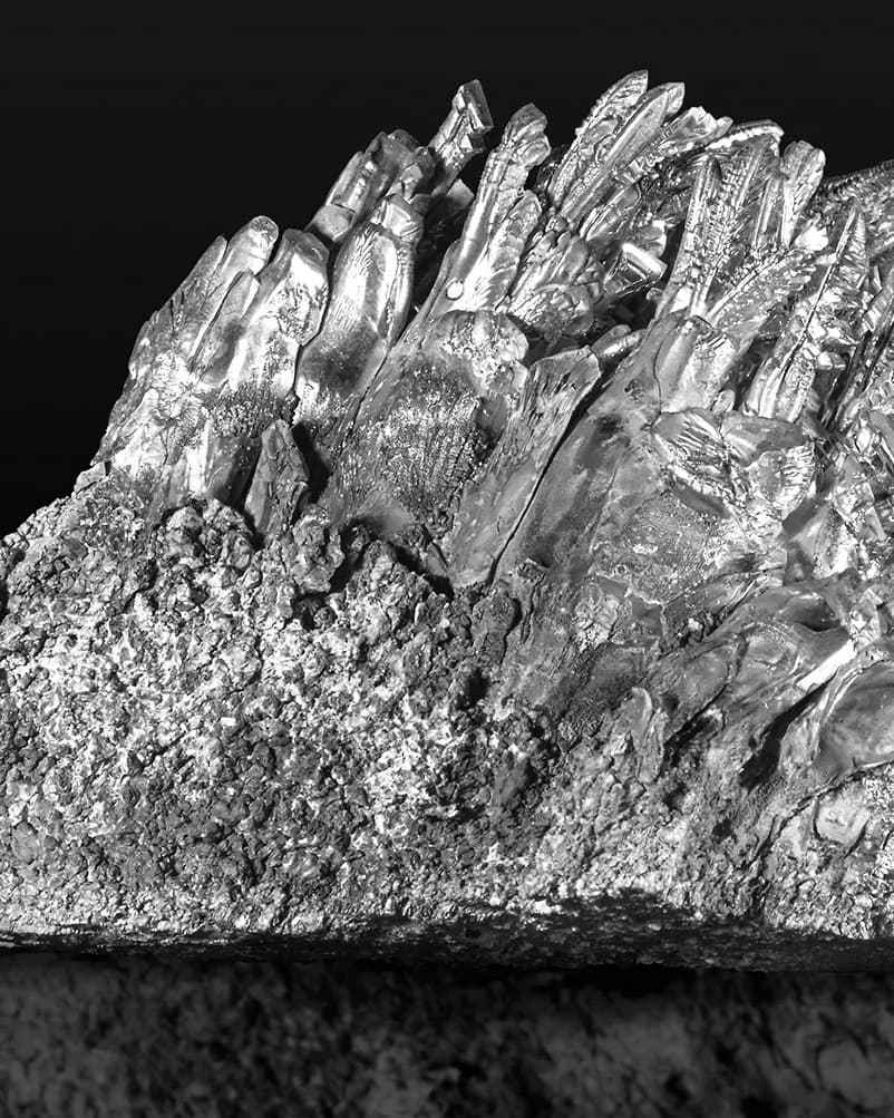 Magnesium Glycinate for Sleep and Recovery